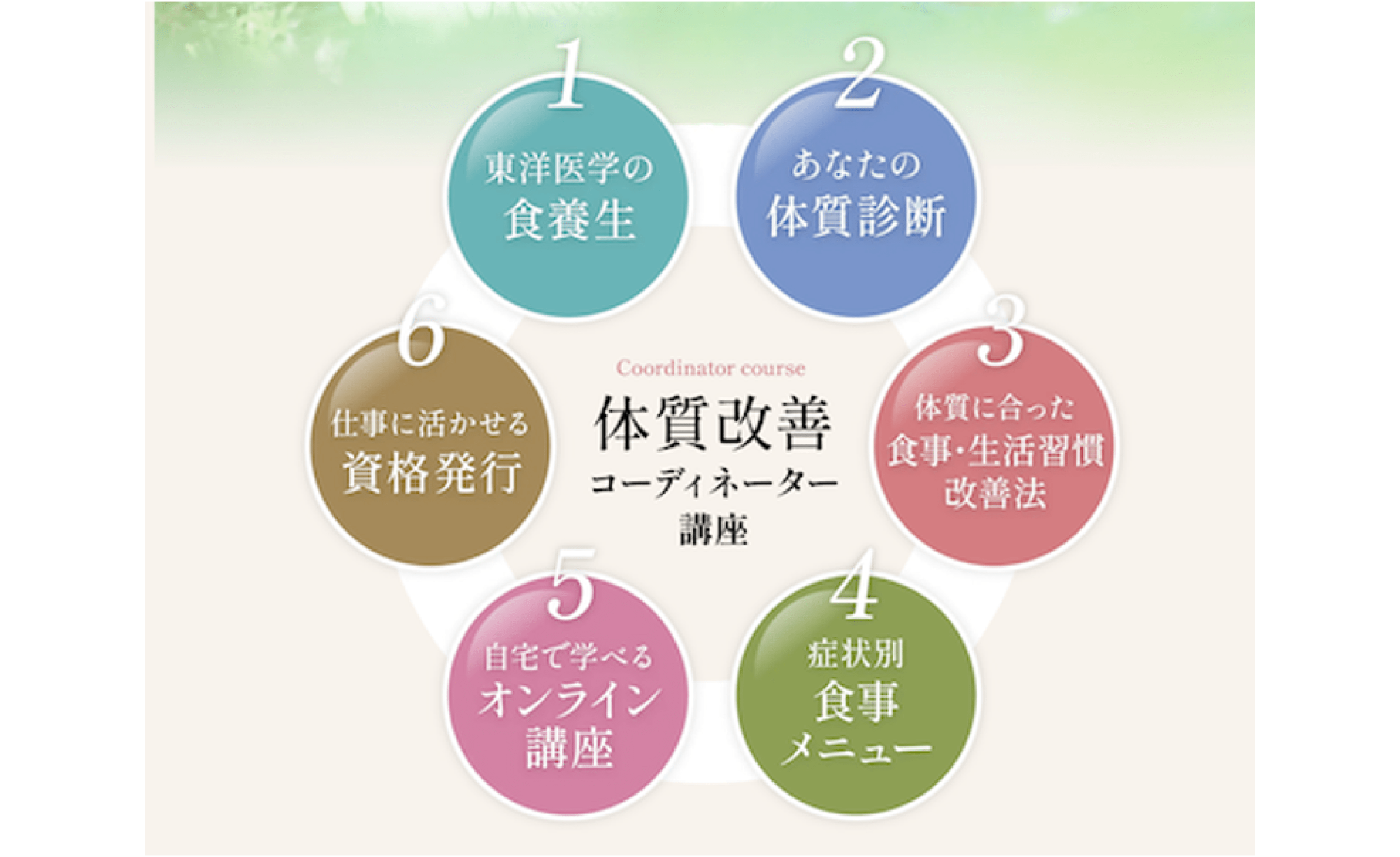 体質改善コーディネーター講座の6つの特徴