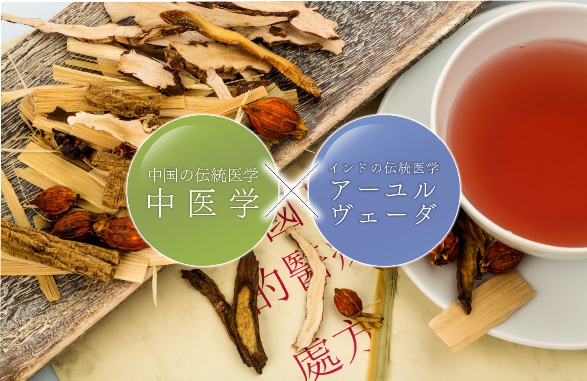 体質改善コディネーター講座